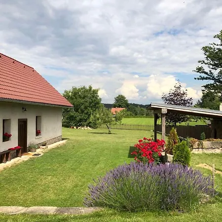 Old Style Cottage Horni Paseka Exterior photo